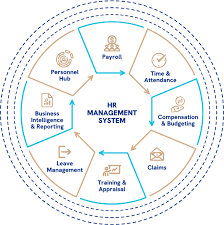 نقش APIها در انعطاف‌پذیری شبکه‌های مبتنی بر NaaS